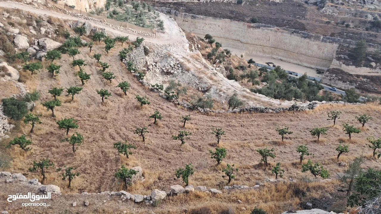 أرض في بيت كاحل مطلة على شارع واد القف