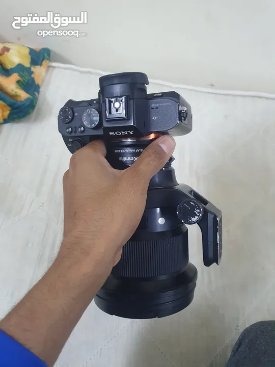 Sony A7ii with converter and Lens