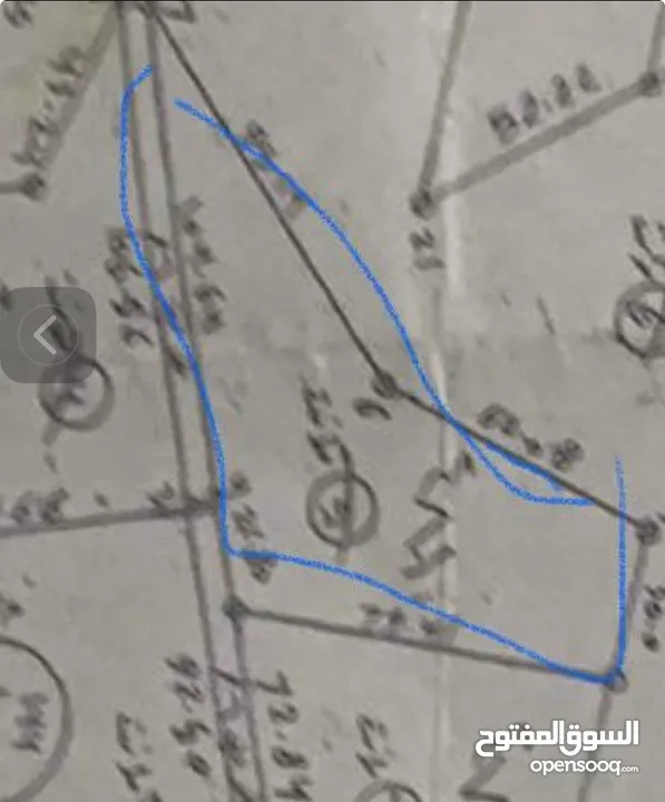 أرض زراعية للبيع  مادبا الفيحاء  من المالك