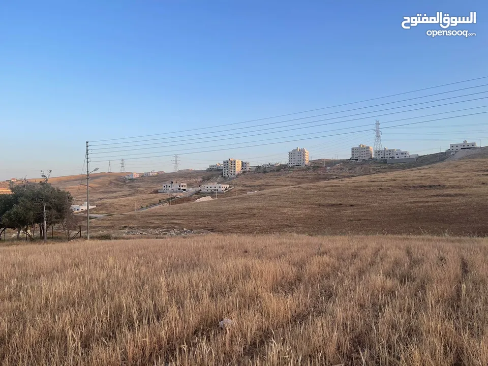 ارض للبيع في طبربور مستوية  بقوشان مستقل
