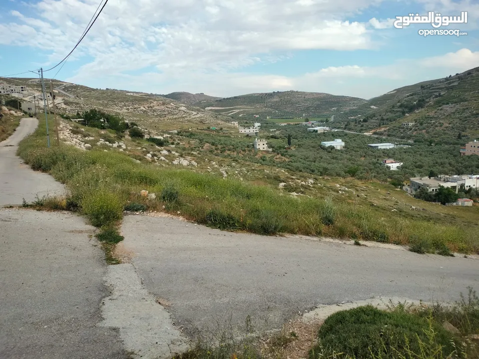 أرض عدة نمر للبيع بمساحات وأسعار مختلفة - بيت امرين - نابلس