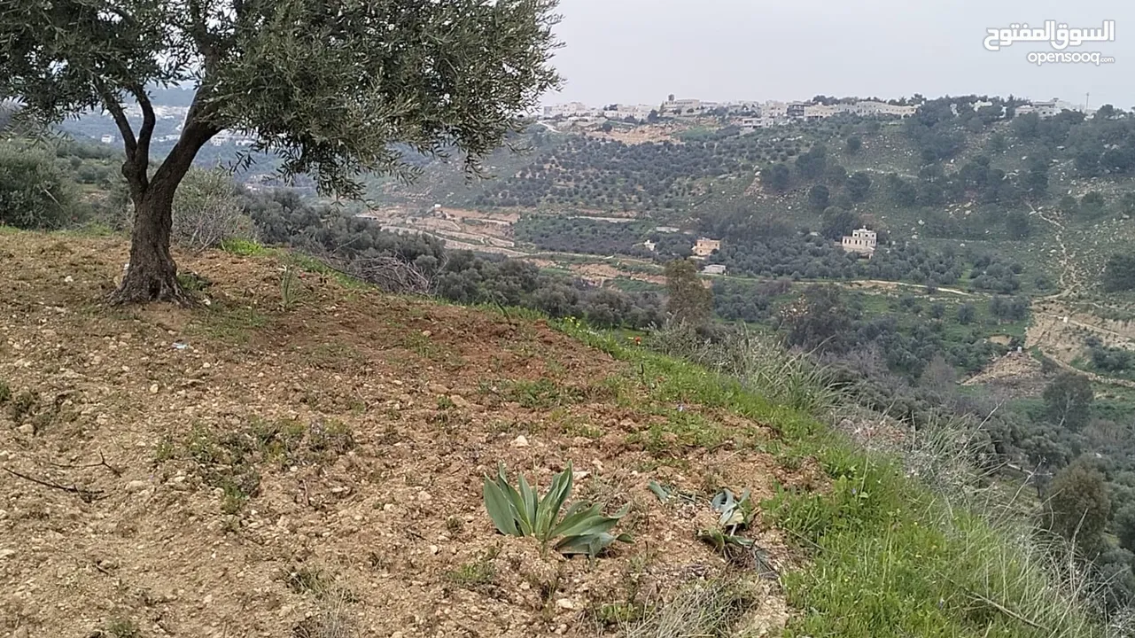 أرض مميزة جداً لعمل شاليه استثماري أو مزرعة خاصة أو مزرعة تجارية يوجد بها قناة ماء من المالك مباشرة