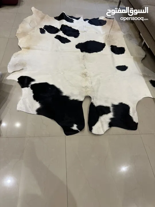 سجاد جلد بقر طبيعي معالج ضد البكتيريا