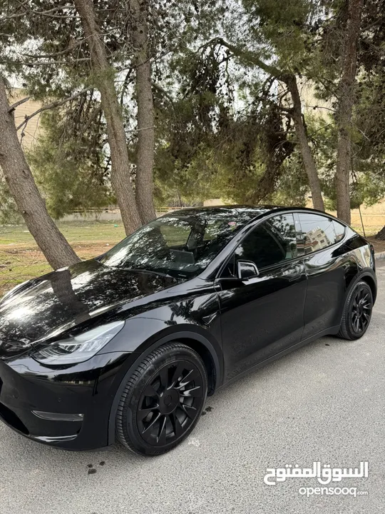 Tesla Y dual motor long range 4awd 7 seats 2021