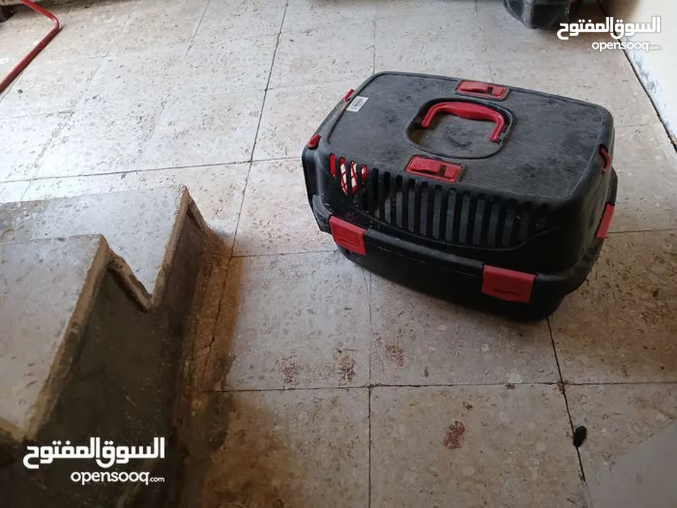 بيت للقطط جديد