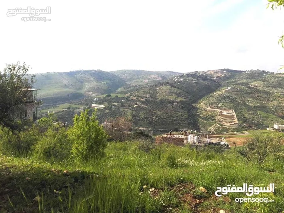 ارض مميزة مطلة ابو السوس غرب عمان عدة قطع في المنطقة.