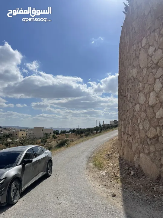 ارض زراعية داخله التنظيم