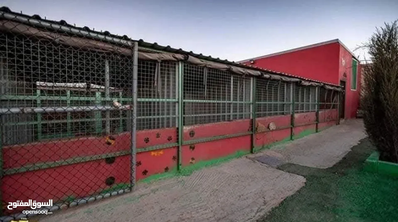 Dog hotel ...