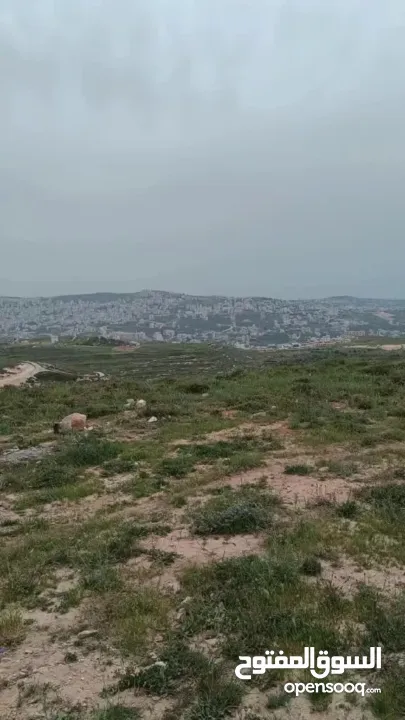 قطعة ارض مربعة الشكل في زواتا