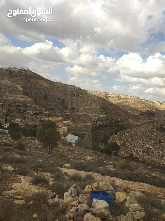 دورا جبل ابو عشره
