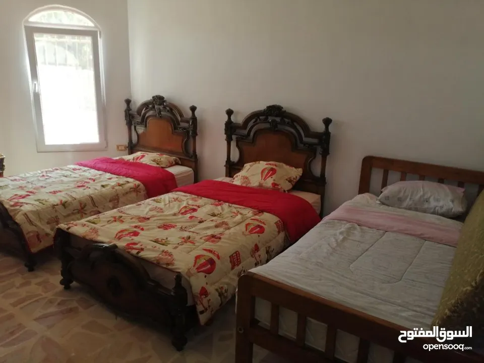 مزرعه مع بيت راقيه راس منيف موقع مميز مطله و بسعر مغري جدا