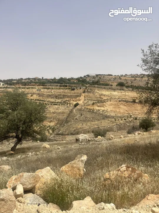 ارض زراعيه للبيع في اجمل مناطق العالوك