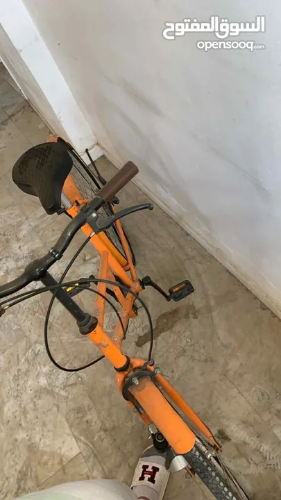 بسكليت جنط 26 وكالة بس ناقه بلف بس ب..... البسكليت نخب اول غير قابل للتفاوضالهاشمي الشمالي
