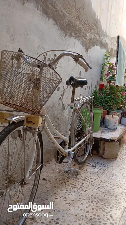 دراجة هوائية