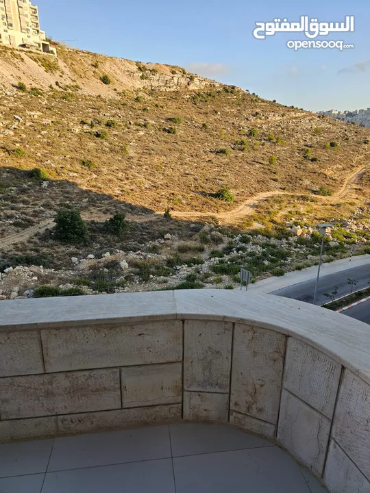 شقه مفروشه فرش جديد للايجار لعائله صغيره او عرسان