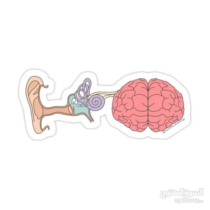 اخصائي تخاطب وتعديل السلوك - علاج النطق واللغة