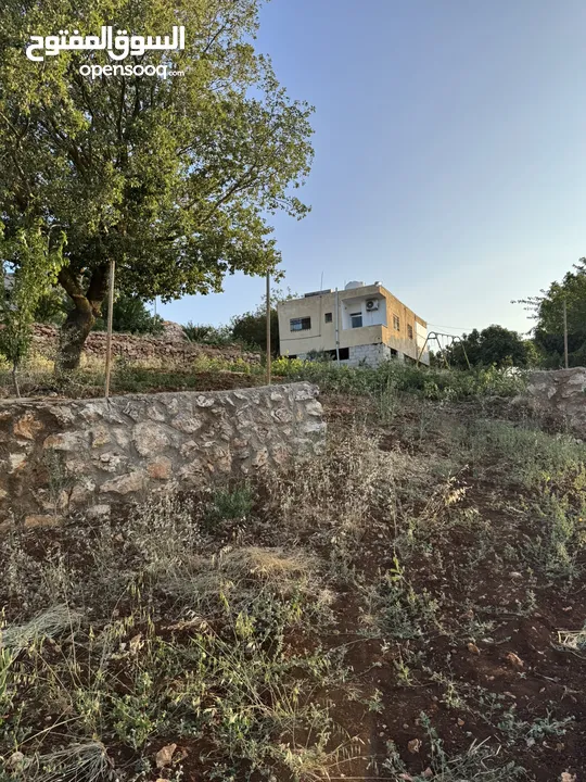 مزرعه للبيع / عجلون / رأس منيف