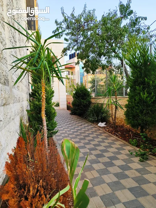 شقة غير مفروشة للايجار في الماصيون قرب مشفى رام الله