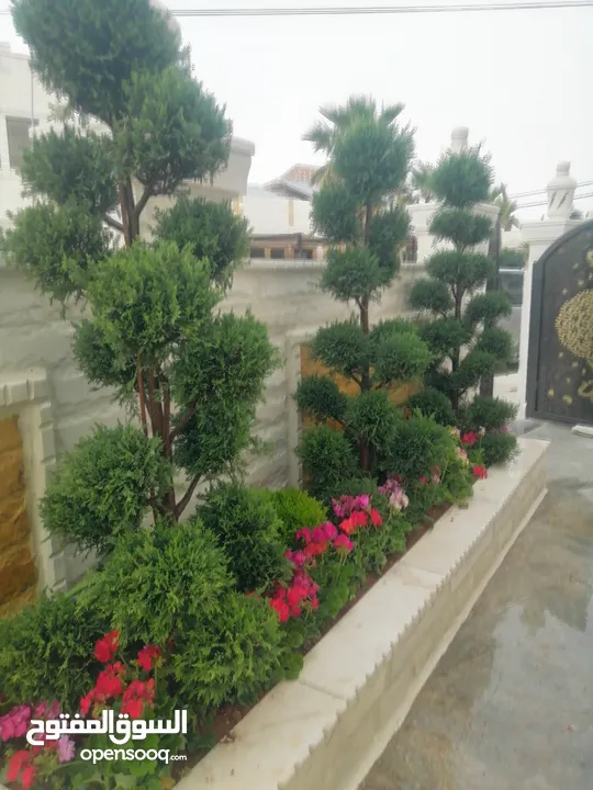 مشاتل المملكة الزراعية لتنسيق الحدائق