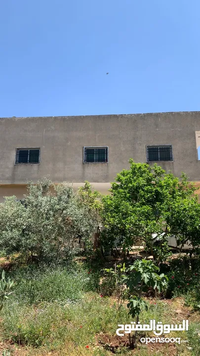 منزل للبيع