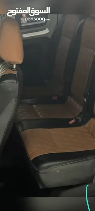 كادي شصي قصير