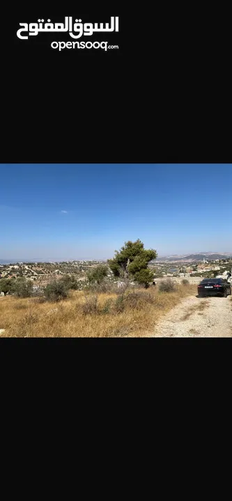 قطعت ارض في أم جوزه دنم و 23 متر (قابل  للتفاوض)موقع رائع الحجر مستورد من نابلس و انبا في 1950