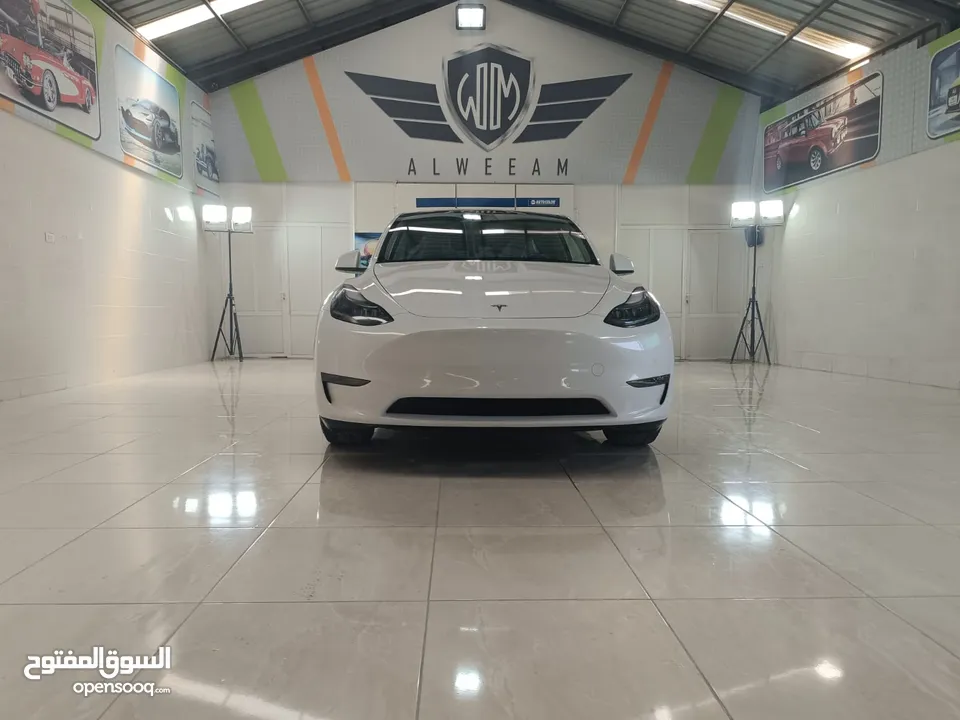 Tesla Y 2022 performance