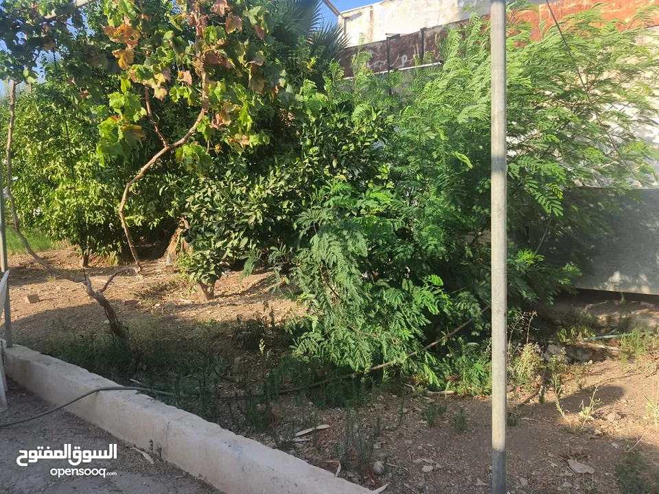 بيت ريفي مع ارض في منطقة هادئة وخلابة قريبة من الخدمات يصلح للاسثمار