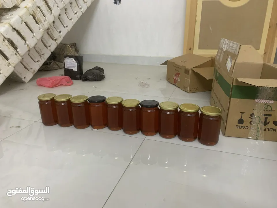 عسل حمضيات وشوكيات