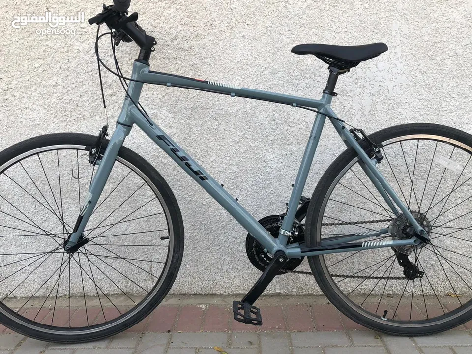 Fuji bicycle, Absolute you 2.1