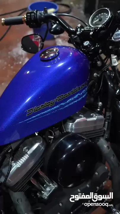 2019 Harley-Davidson Sportster 48