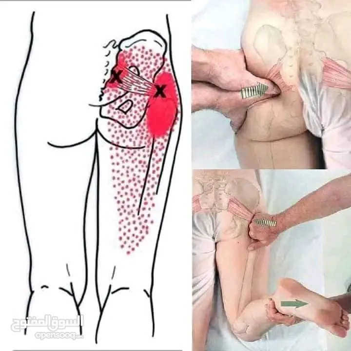مدرب لياقه بدنيه وبناء أجسام ومدرب سباحه