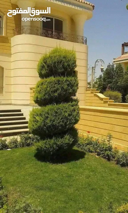 مؤسسة ومشاتل رويد لتنسيق الحدائق