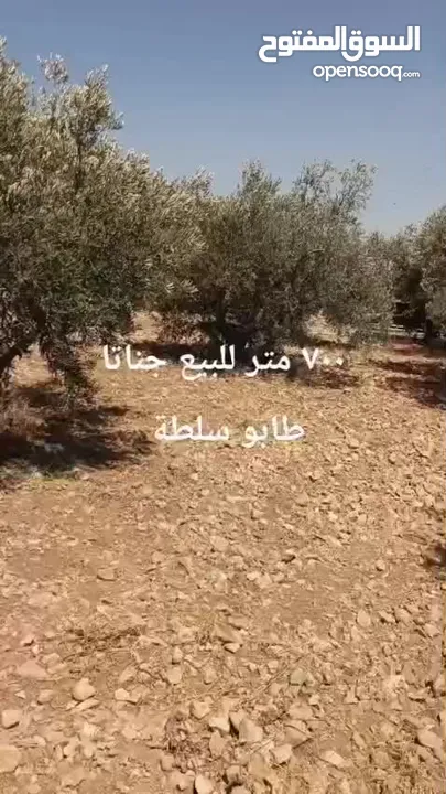 ارض للبيع جناتا