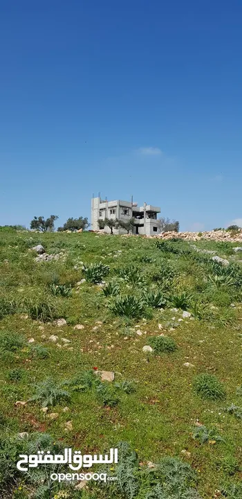 فيلا فاخرة على أرض 2000م تصنيف أ A, طابو – زاوية شارعين + مجلس ضيوف مستقل في طوباس