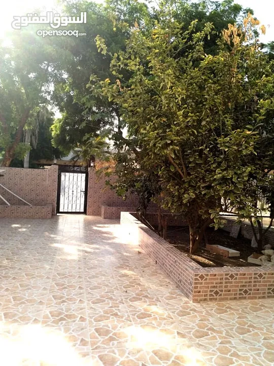 3 Bedrooms Villa for Sale in Al Hail REF:990R