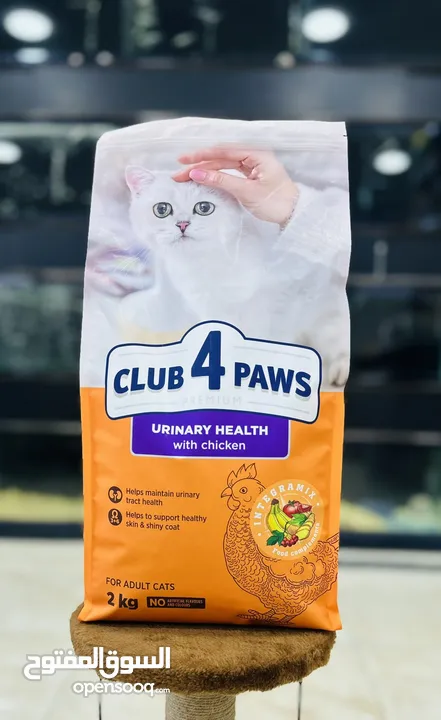 افضل طعام للقطط club for paws دراي فود