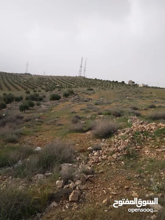 3600م للبيع رحاب بني حسن مرتفعه ومطله ع طريق اريد الزرقاء من المالك مباشره