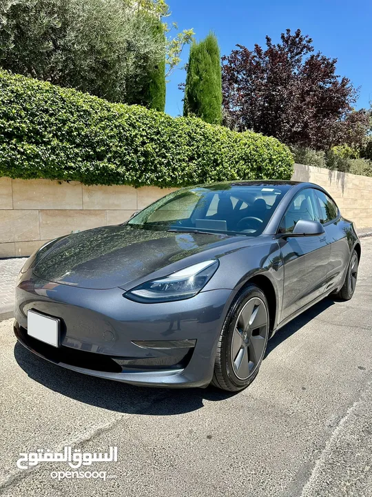 Tesla Model 3 2023 standard plus فحص كامل