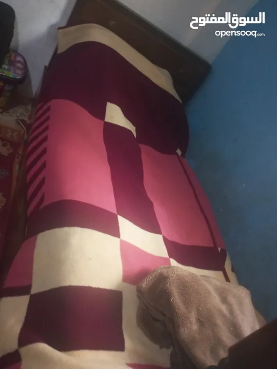 تخوت مفرد ونص