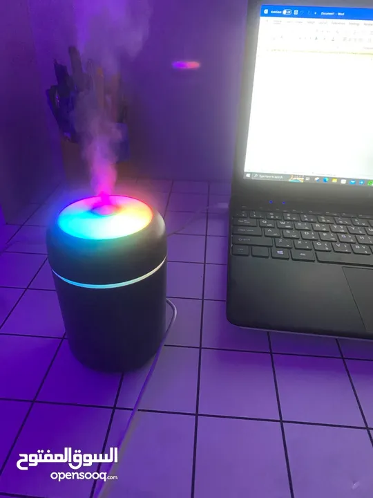 H20 humidifier