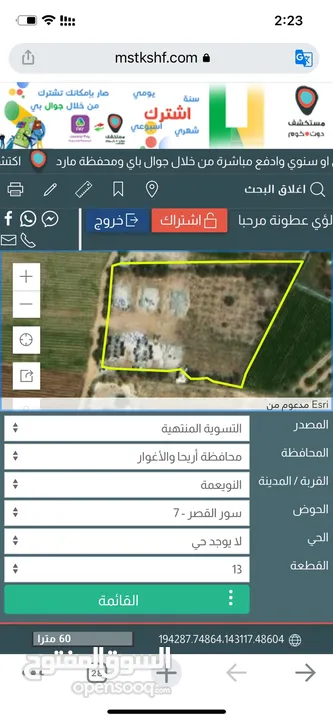 فلل عدد التنين في أريحا