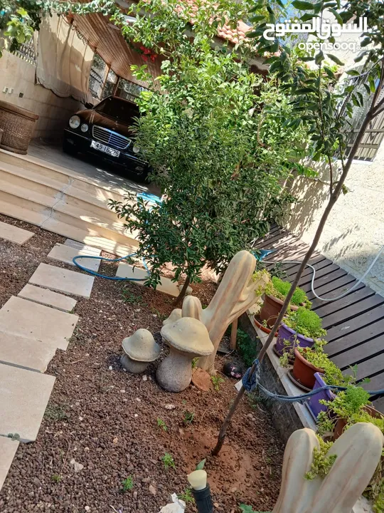 شقه ارضيه للبيع