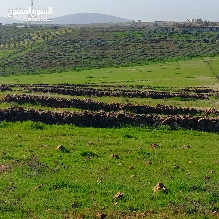 ارض في منطقة رحاب منطقة شاليهات مميزة جدا تصلح لبناء شالية طبيعة جميلة