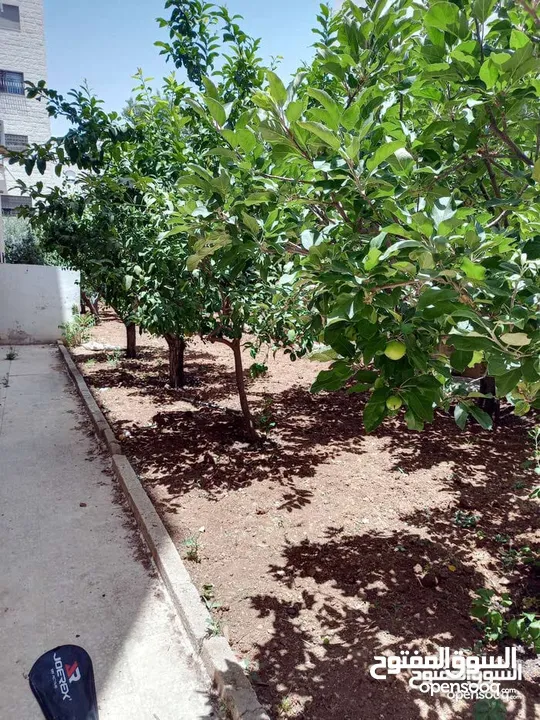 شقة فارغة - خلدا - 3نوم - 140م