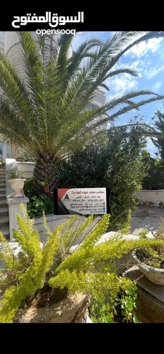 قصر للبيع في اجمل مواقع راس بيت جالا قريب من المعابر