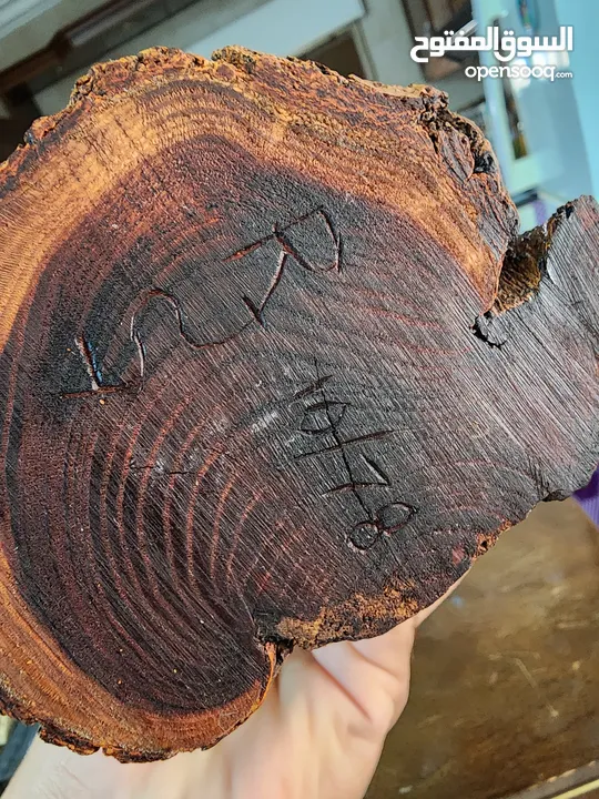 A unique art piece carved on a wooden trunk