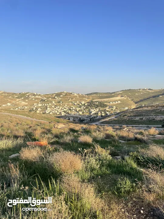 قطعة ارض مميزه جدا وموقع مميز فرصه لبناء منزل الاحلام وسعر جداً مميز شفا بدران ام رمانه اطلاله رائعه