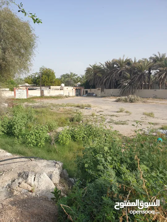 مزرعة للبيع بموقع مميز قريب للخدمات والسعر مناسب