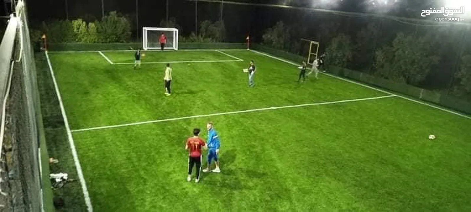 عشب ملاعب / عشب حدائق / عشب مدارس / عشب مزارع / عشب صناعي/ نجيل / تارتان Playground grass